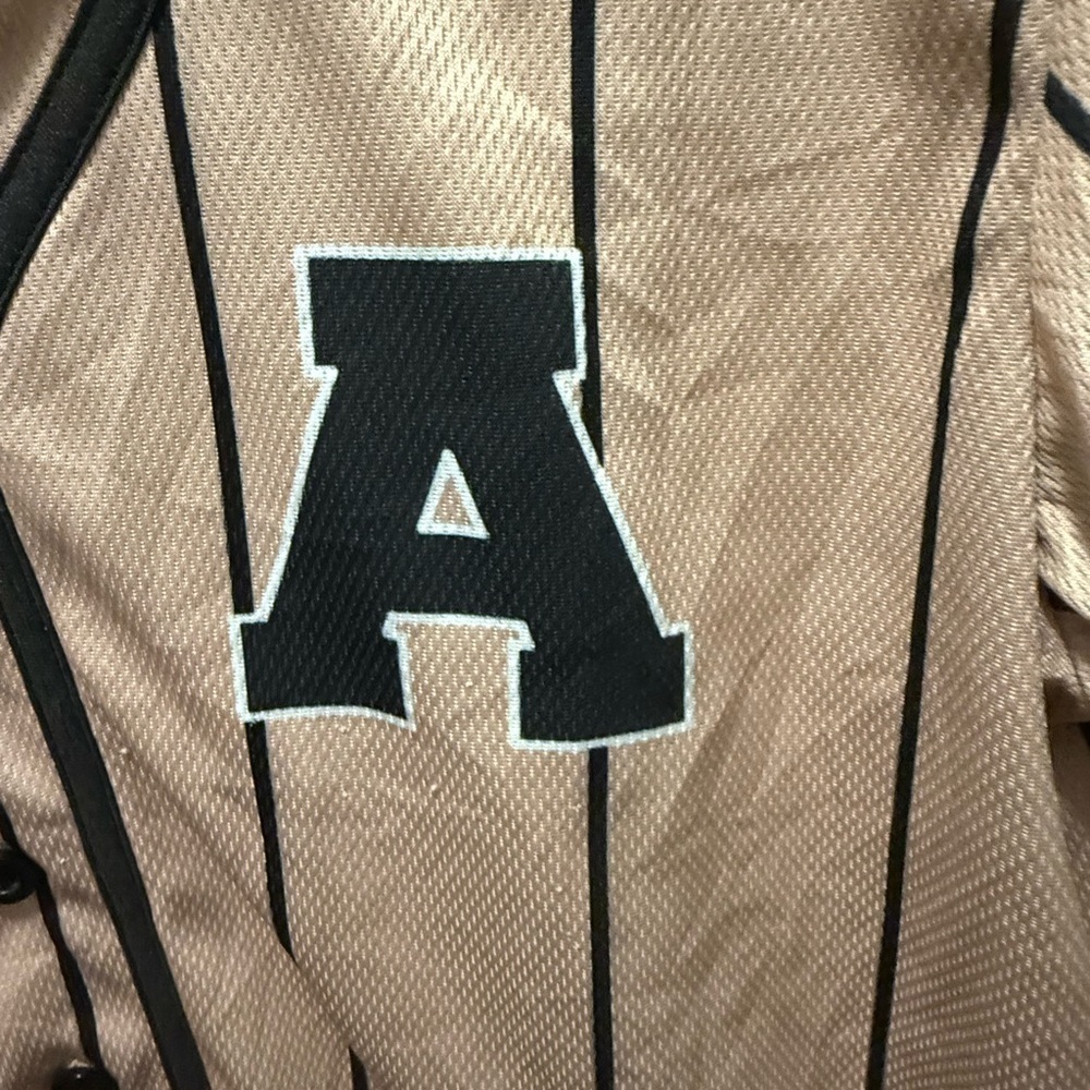 Aaliyah Pinstripe Baseball Jersey- Size M - Picture 7 of 9